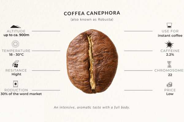 What are the ingredients in each robusta - arabica bean?