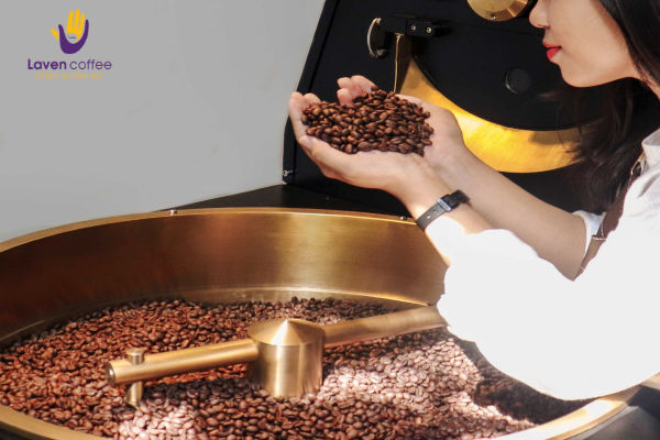 Laven Coffee Chuyên cung cấp cà phê pha máy Top 1 Đồng Nai