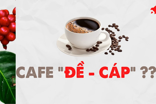 Cà phê Decaf và những tác dụng phụ của caffein